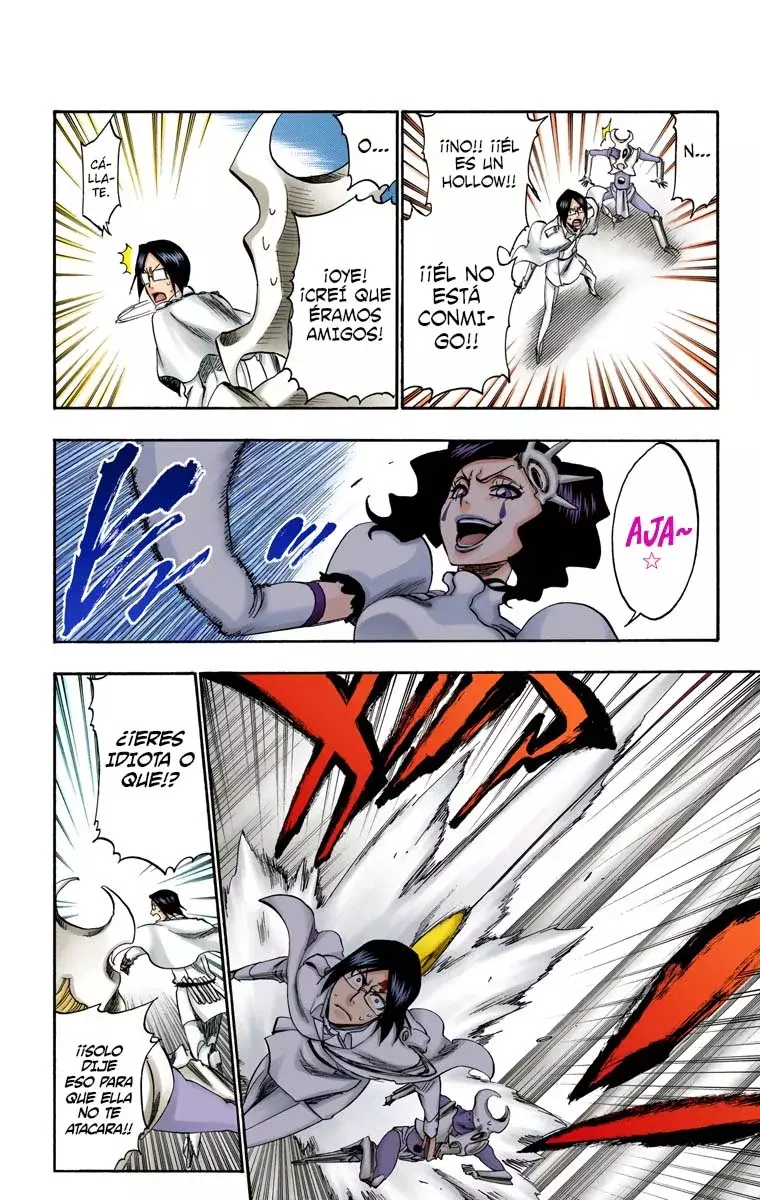 Bleach (Color) capítulo 256, página 13