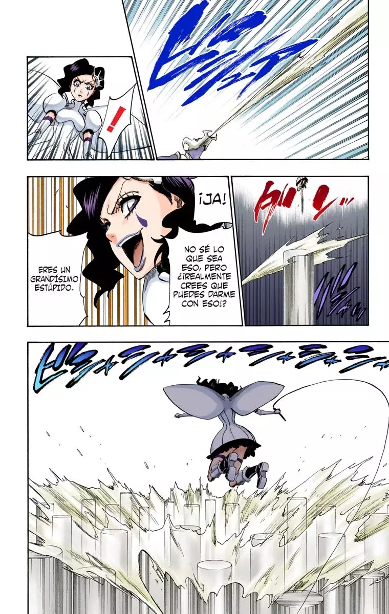Bleach (Color) capítulo 256, página 17