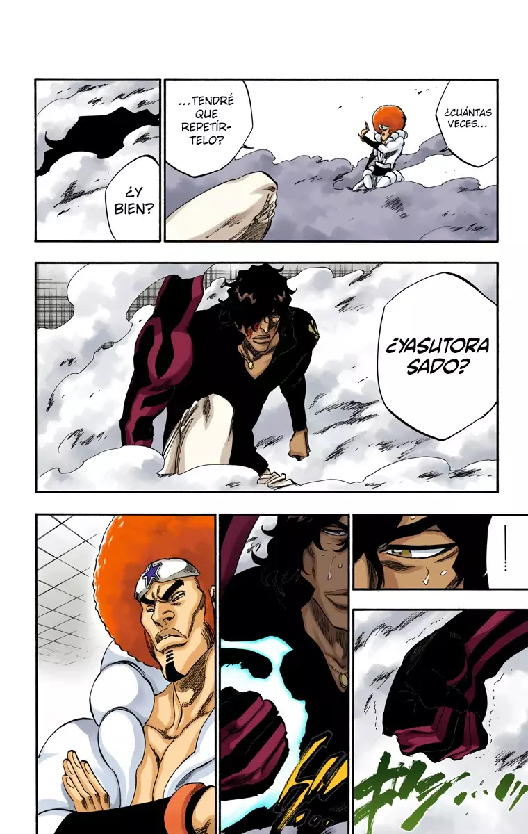 Bleach (Color) capítulo 259, página 13