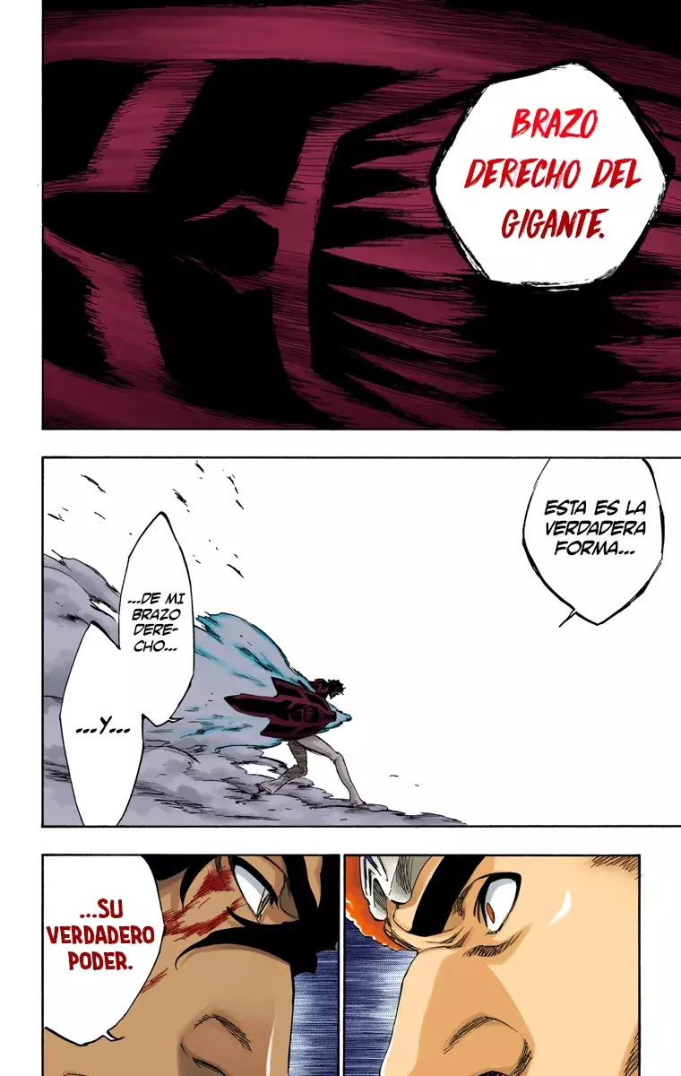 Bleach (Color) capítulo 260, página 5