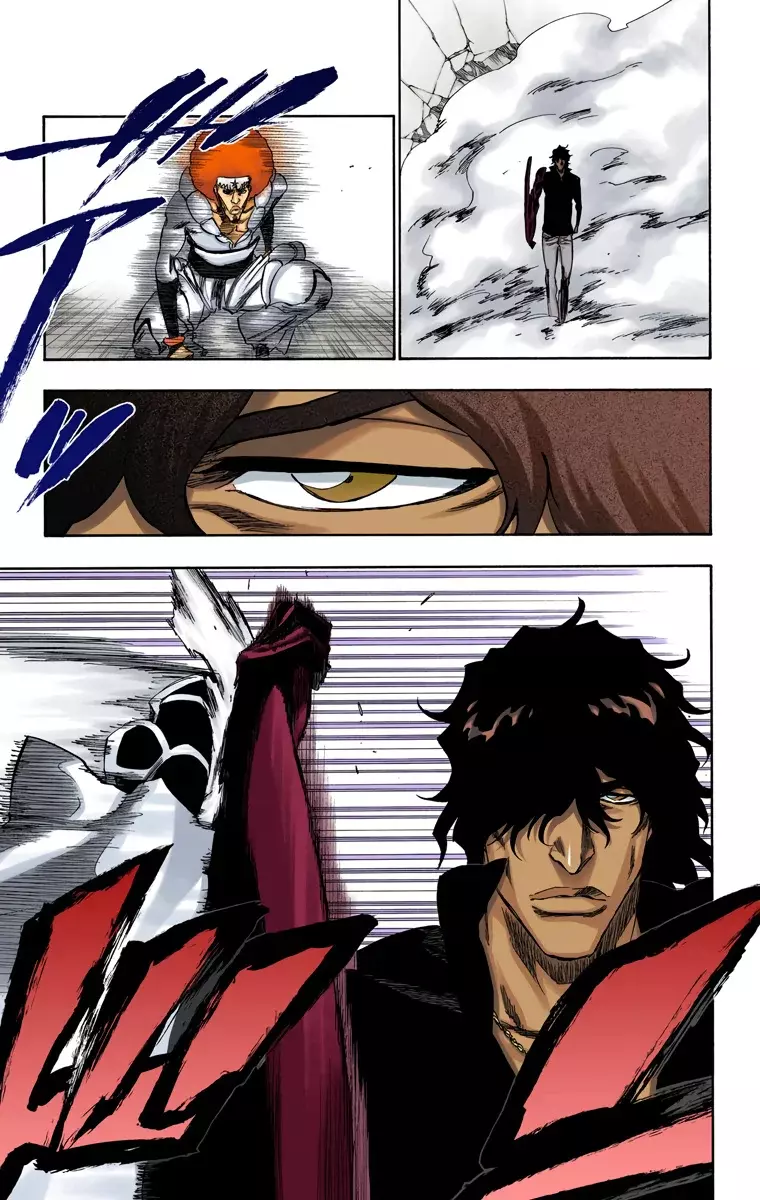 Bleach (Color) capítulo 260, página 8