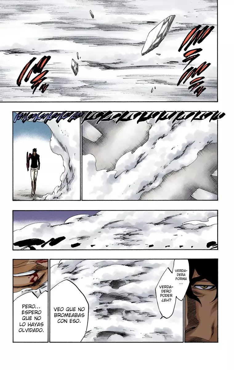Bleach (Color) capítulo 260, página 12