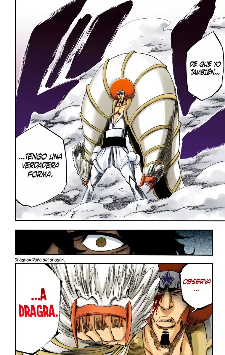 Bleach (Color) capítulo 260, página 13