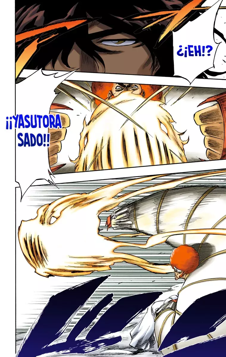 Bleach (Color) capítulo 261, página 9