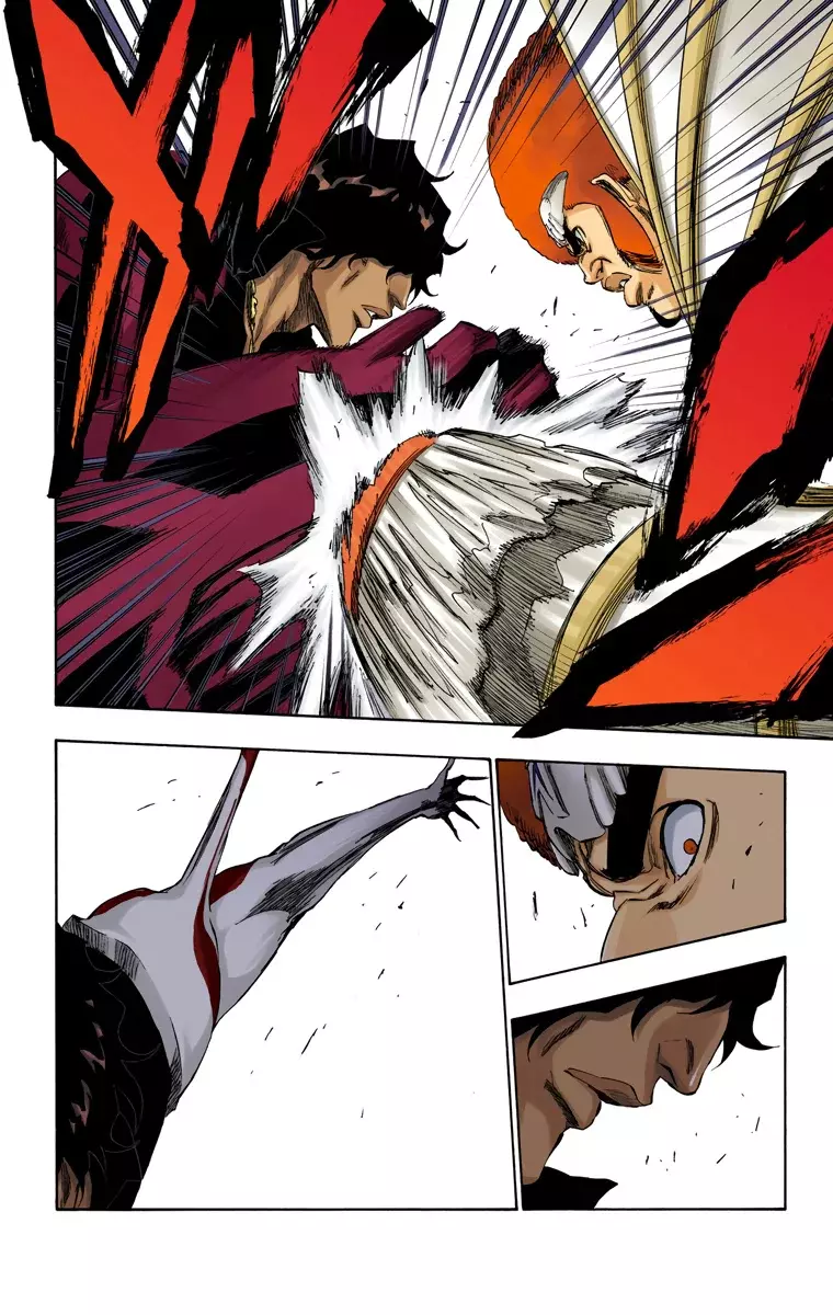Bleach (Color) capítulo 261, página 13