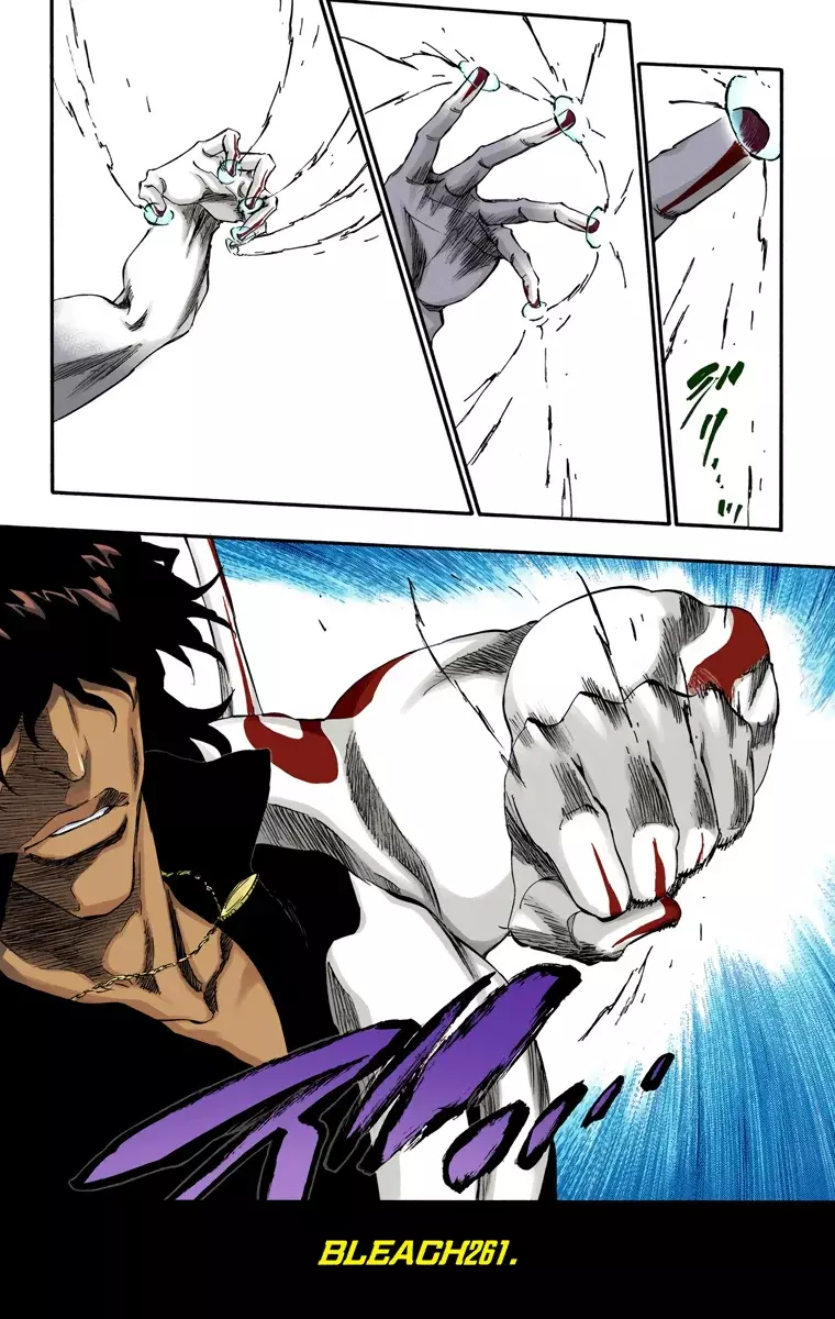 Bleach (Color) capítulo 261, página 14