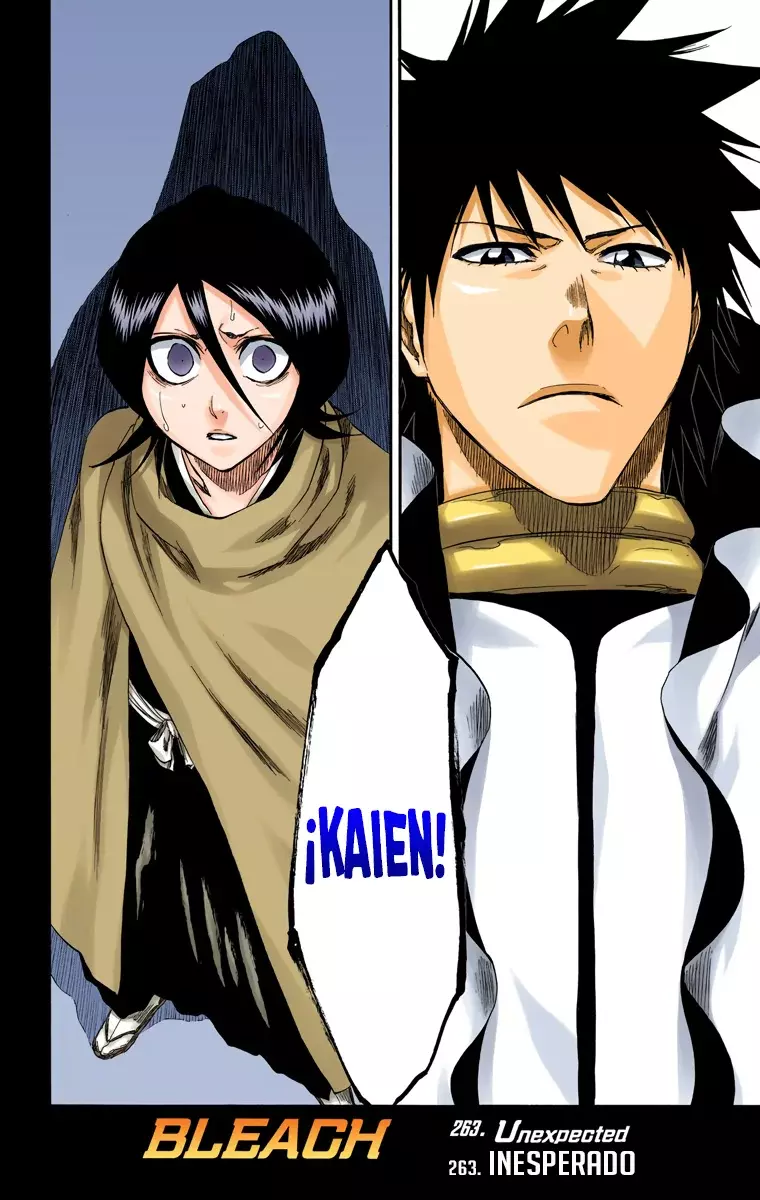 Bleach (Color) capítulo 263, página 3