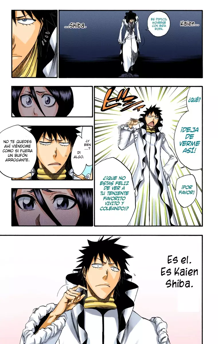 Bleach (Color) capítulo 263, página 14