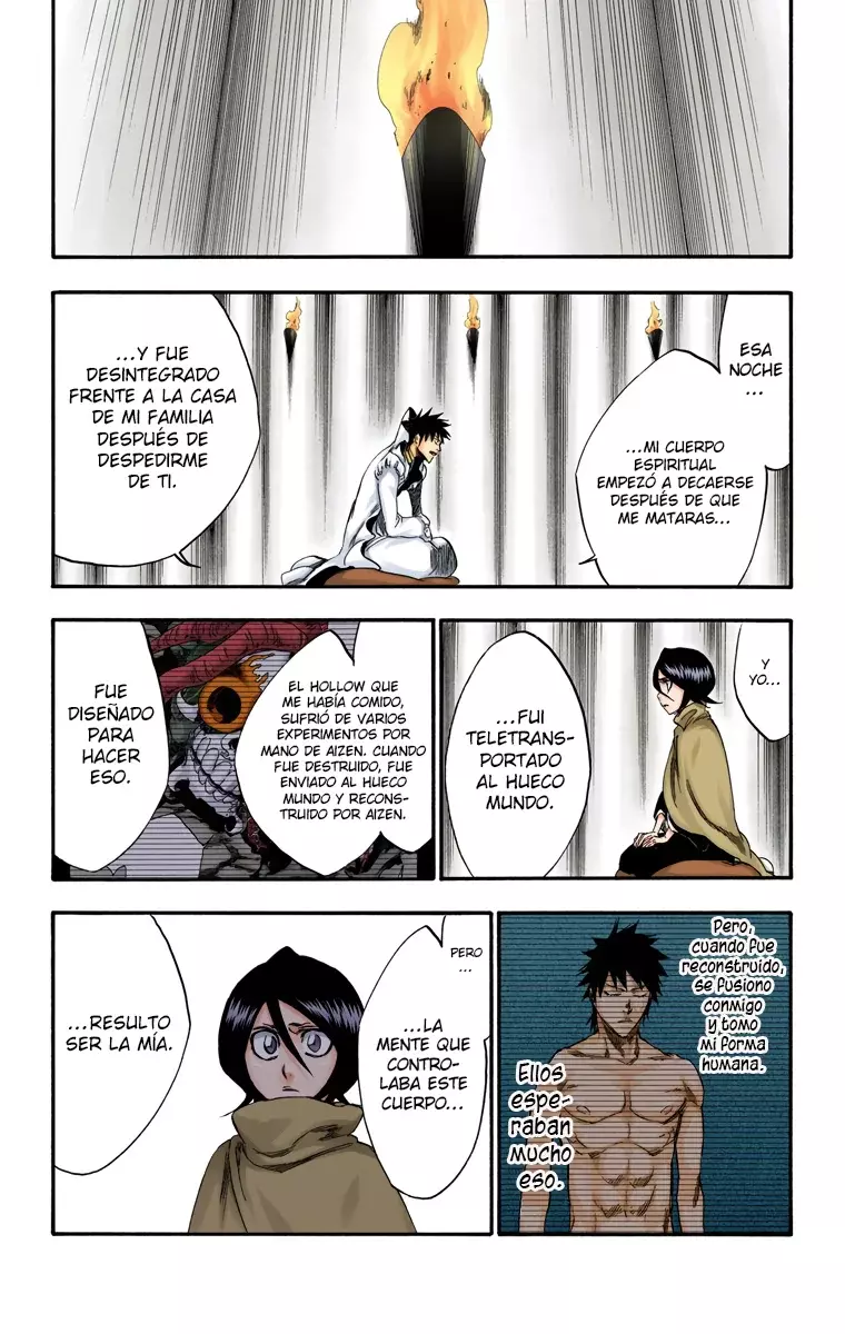 Bleach (Color) capítulo 263, página 16