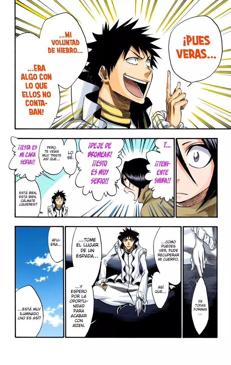 Bleach (Color) capítulo 263, página 17