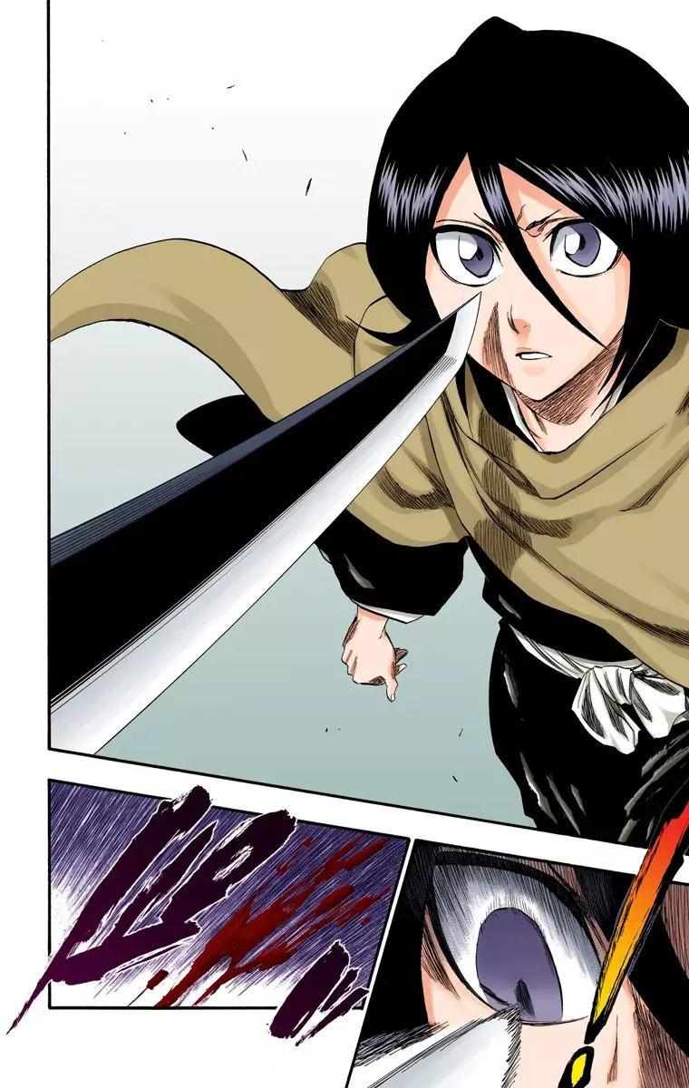 Bleach (Color) capítulo 263, página 19