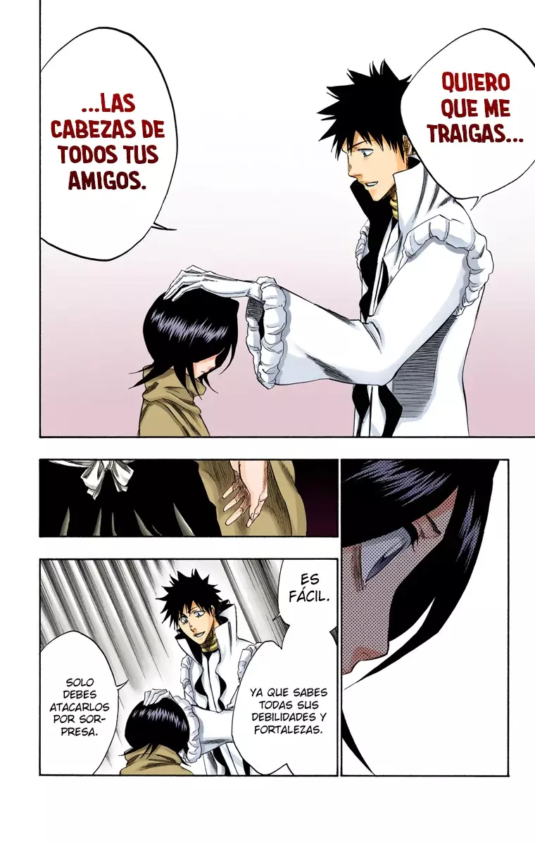 Bleach (Color) capítulo 264, página 13