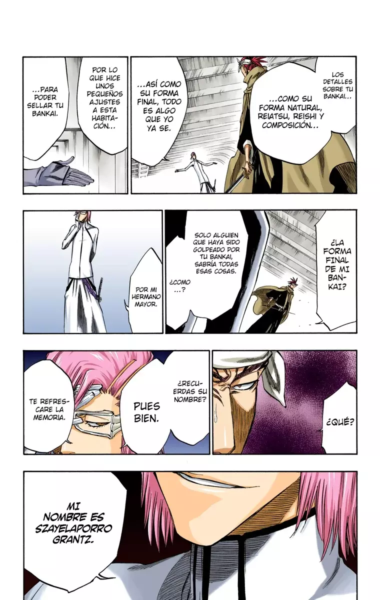 Bleach (Color) capítulo 265, página 13