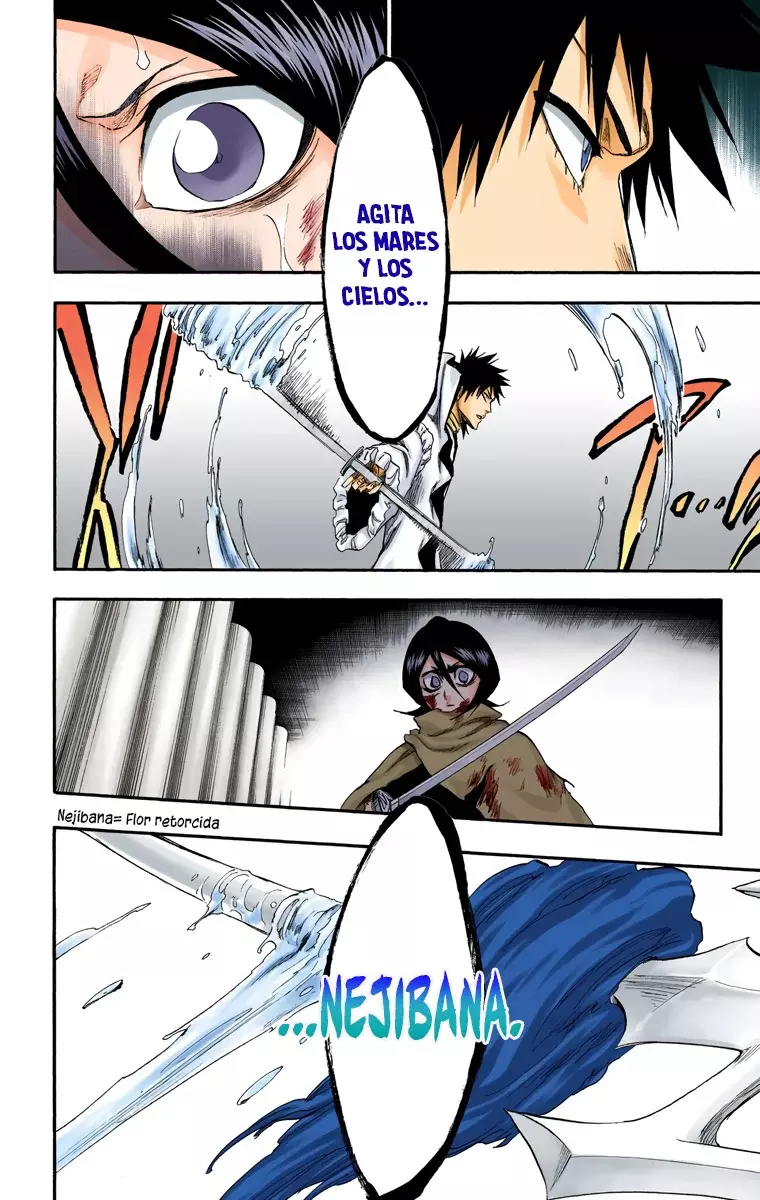 Bleach (Color) capítulo 265, página 20