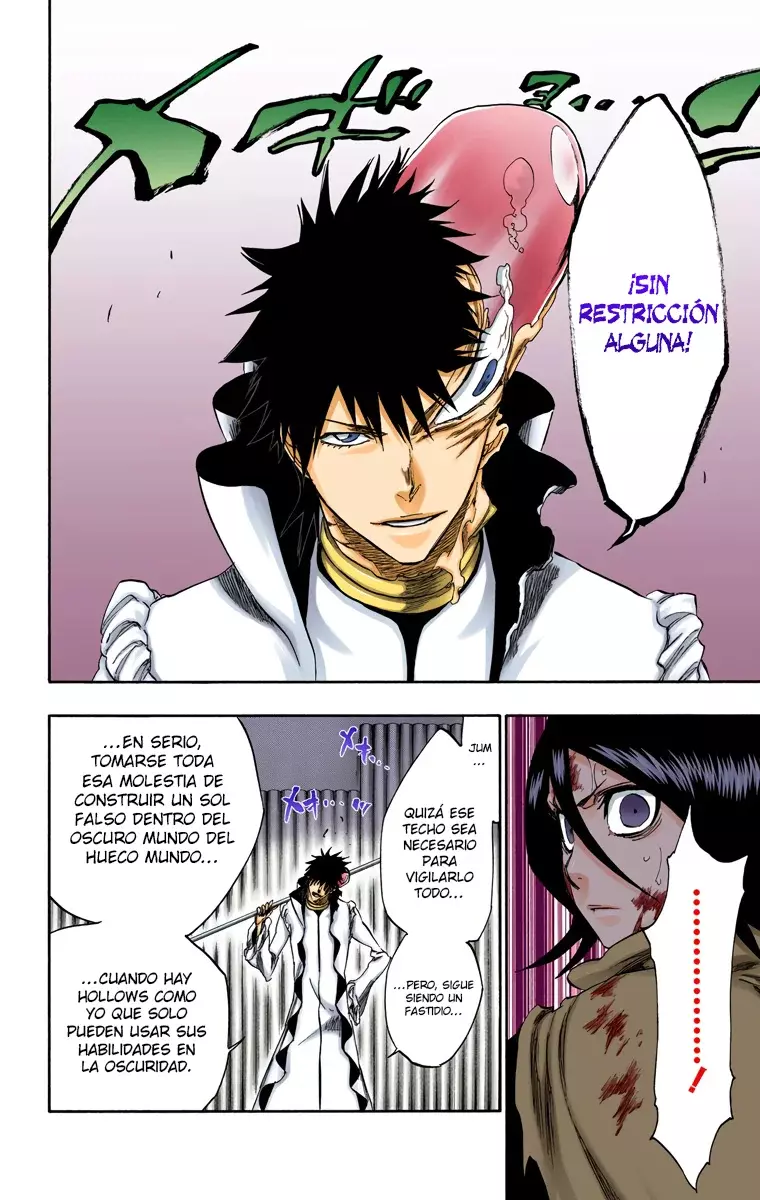 Bleach (Color) capítulo 267, página 7