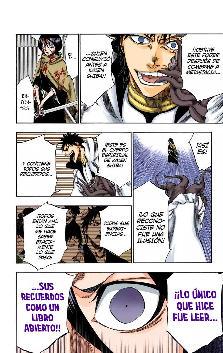Bleach (Color) capítulo 267, página 11