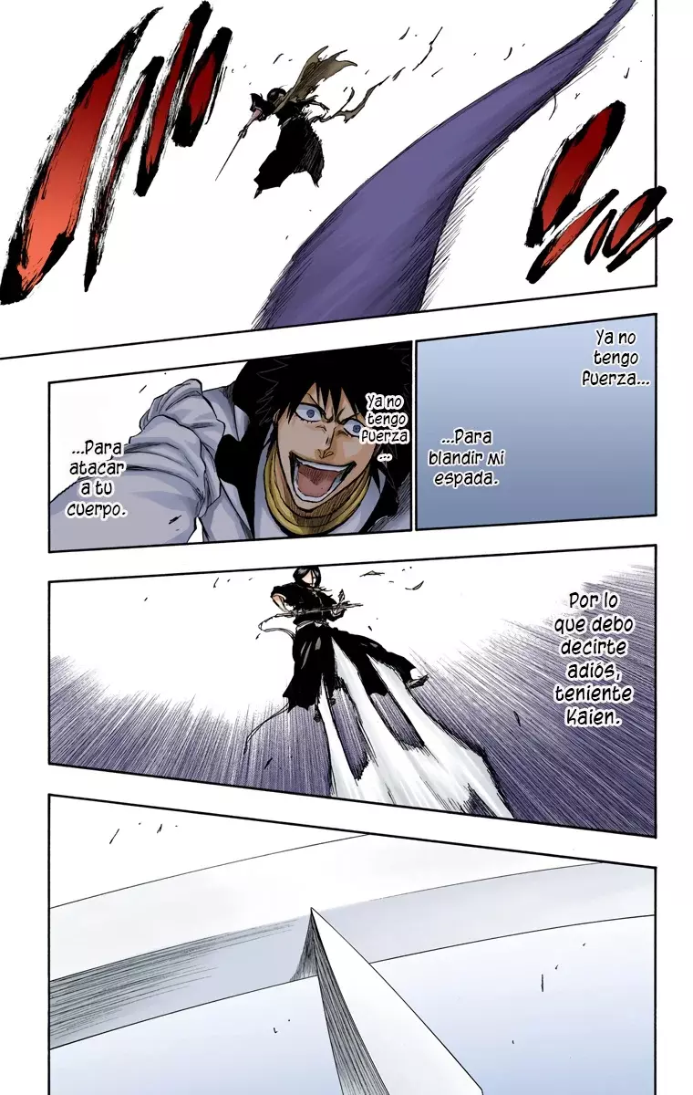Bleach (Color) capítulo 267, página 17