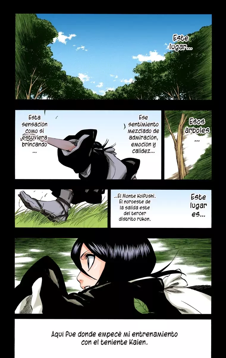 Bleach (Color) capítulo 268, página 5