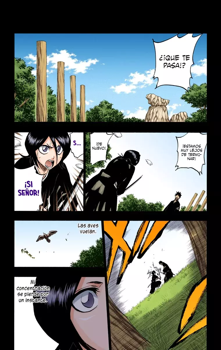 Bleach (Color) capítulo 268, página 7