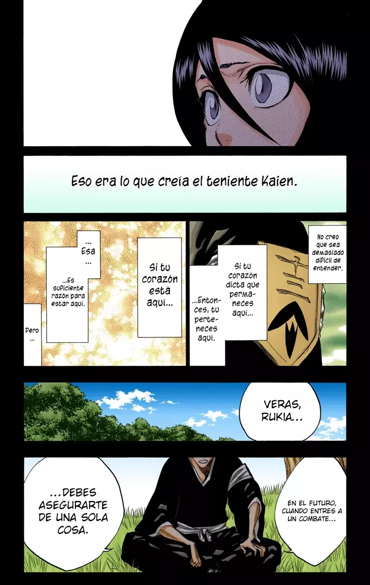 Bleach (Color) capítulo 268, página 14