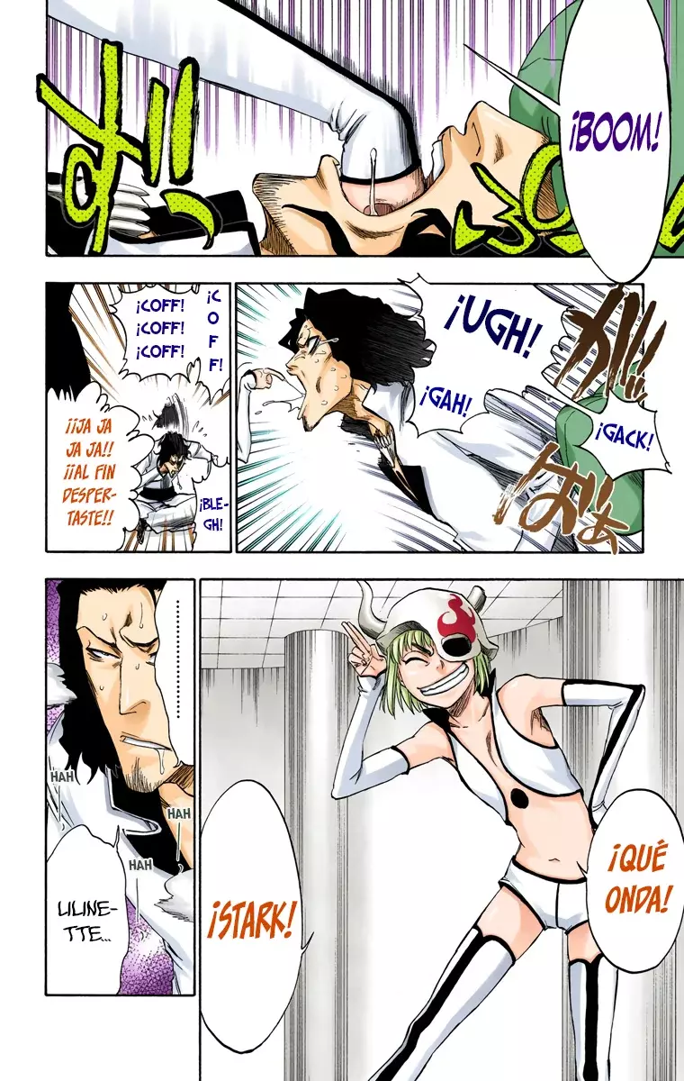 Bleach (Color) capítulo 269, página 11