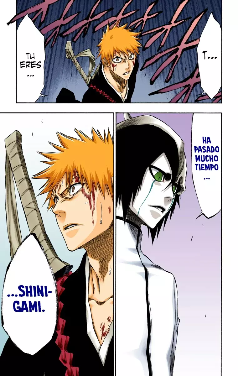 Bleach (Color) capítulo 269, página 20