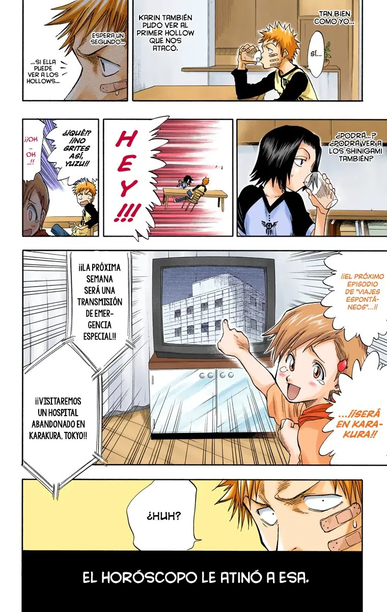 Bleach (Color) capítulo 27, página 9
