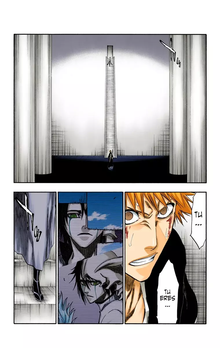 Bleach (Color) capítulo 270, página 10
