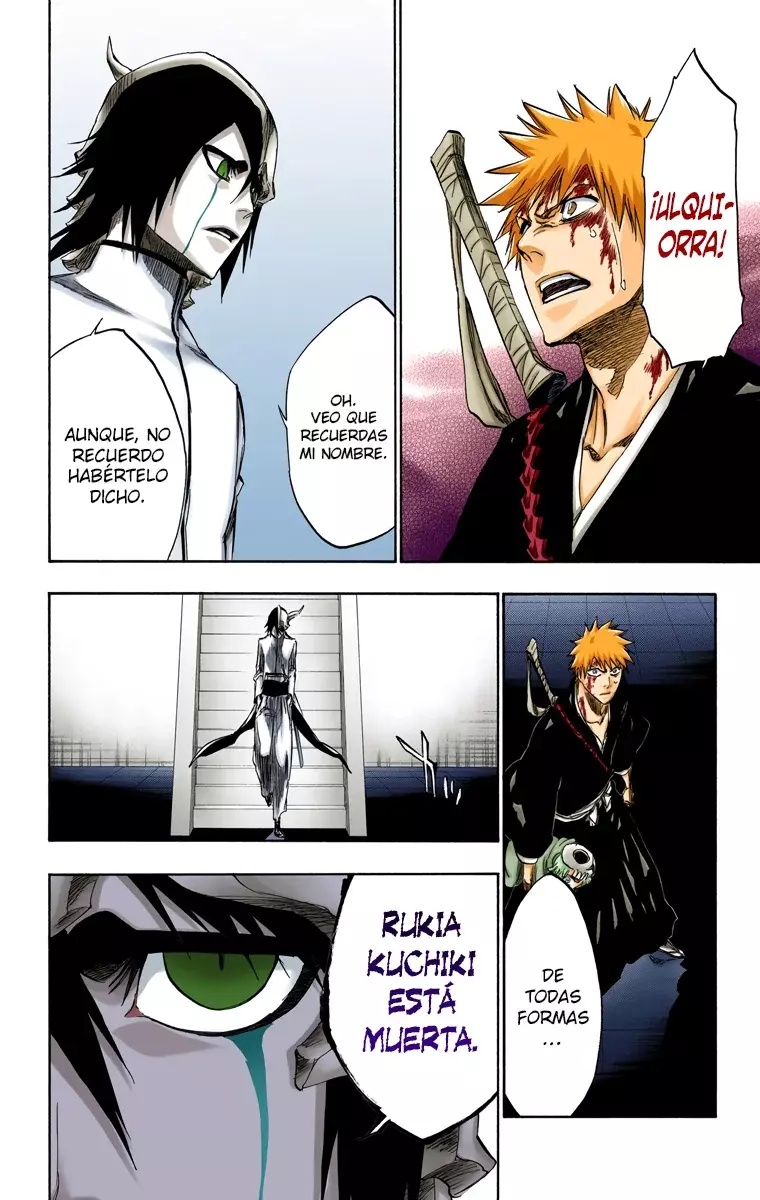 Bleach (Color) capítulo 270, página 11
