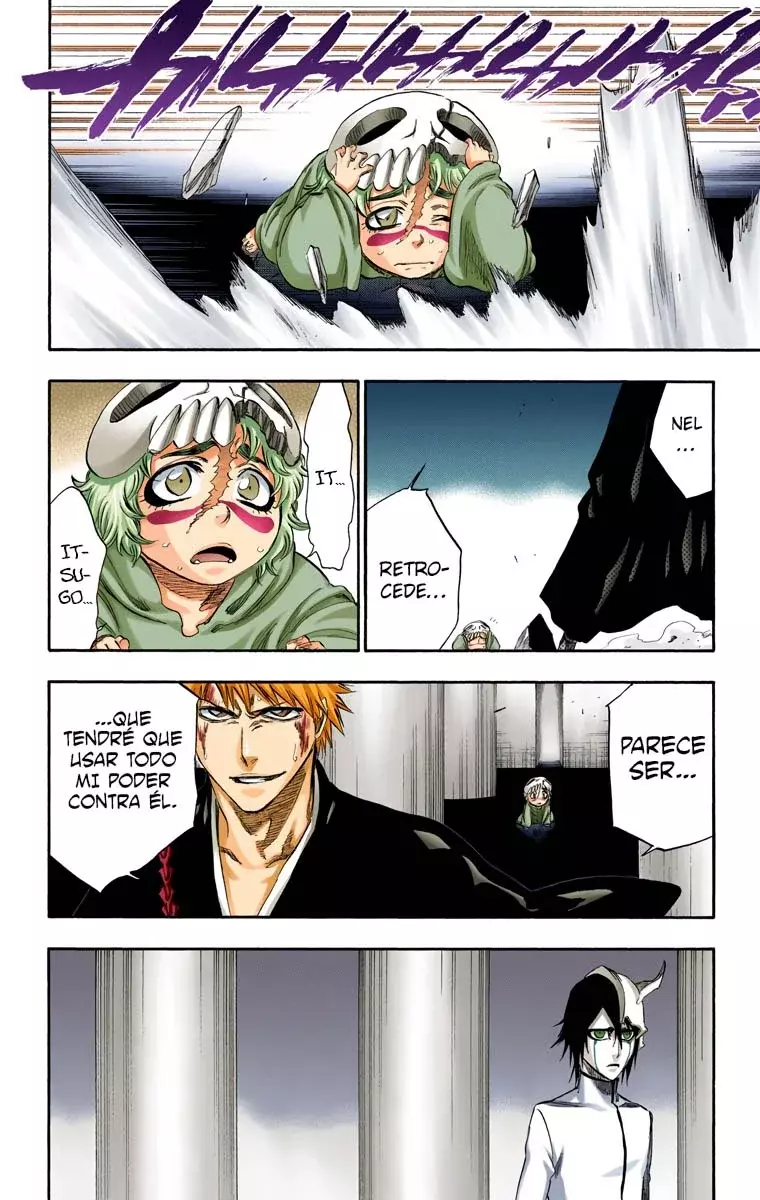 Bleach (Color) capítulo 270, página 19