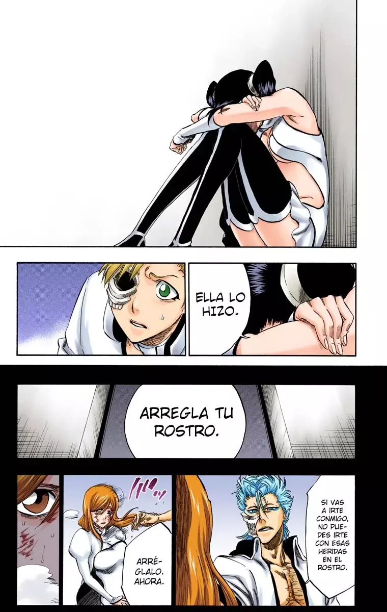 Bleach (Color) capítulo 274, página 10