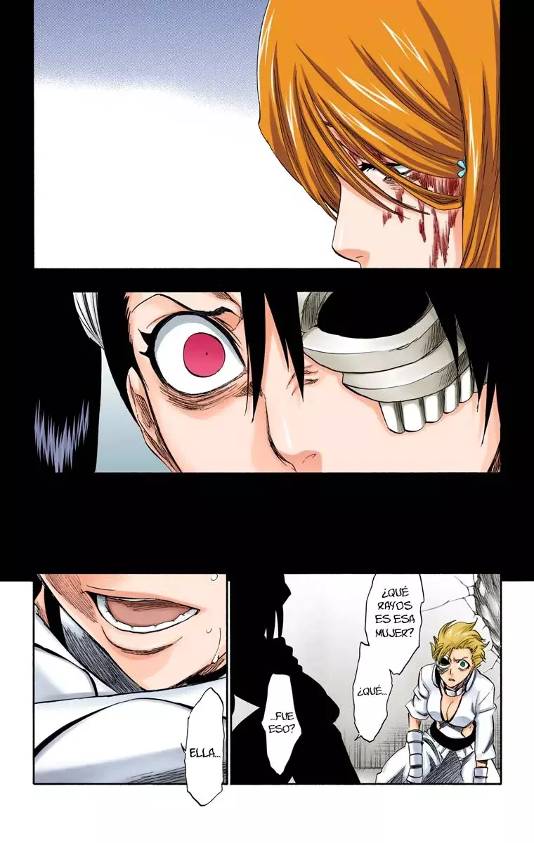 Bleach (Color) capítulo 274, página 14