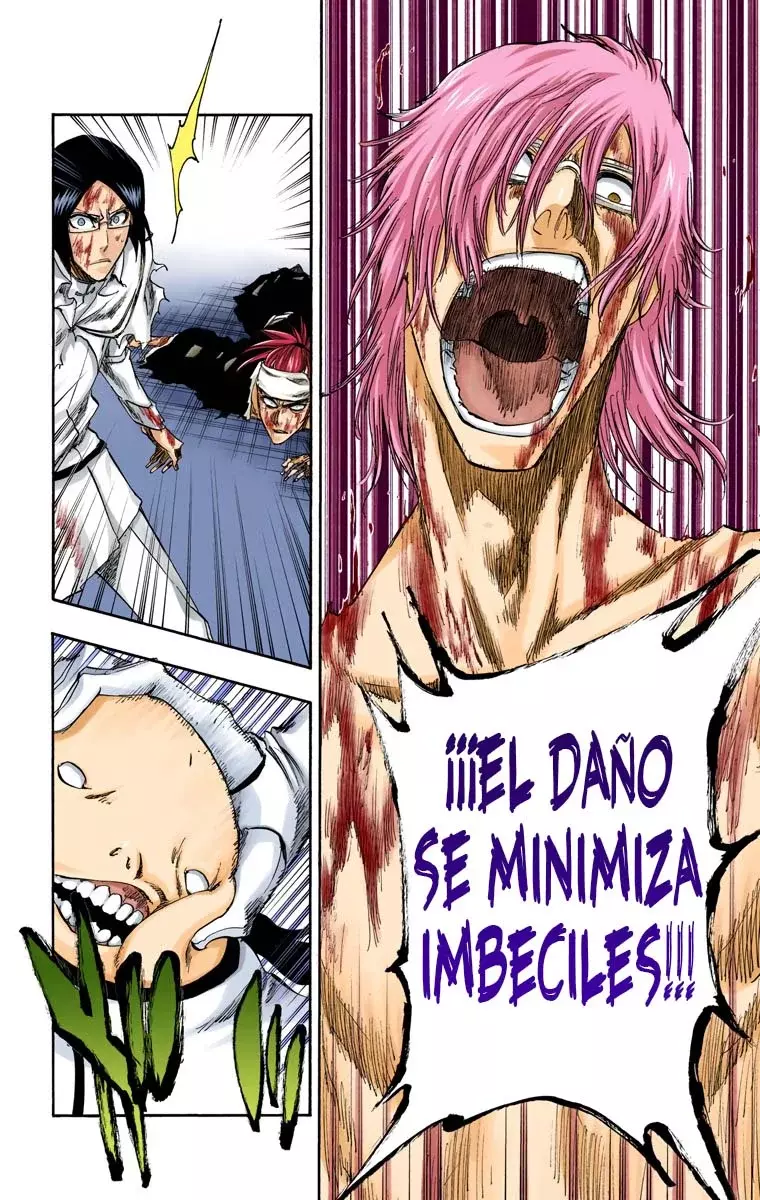Bleach (Color) capítulo 276, página 9