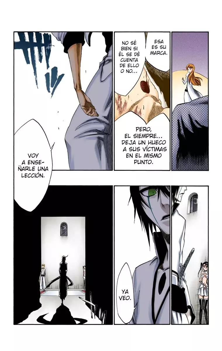 Bleach (Color) capítulo 277, página 14