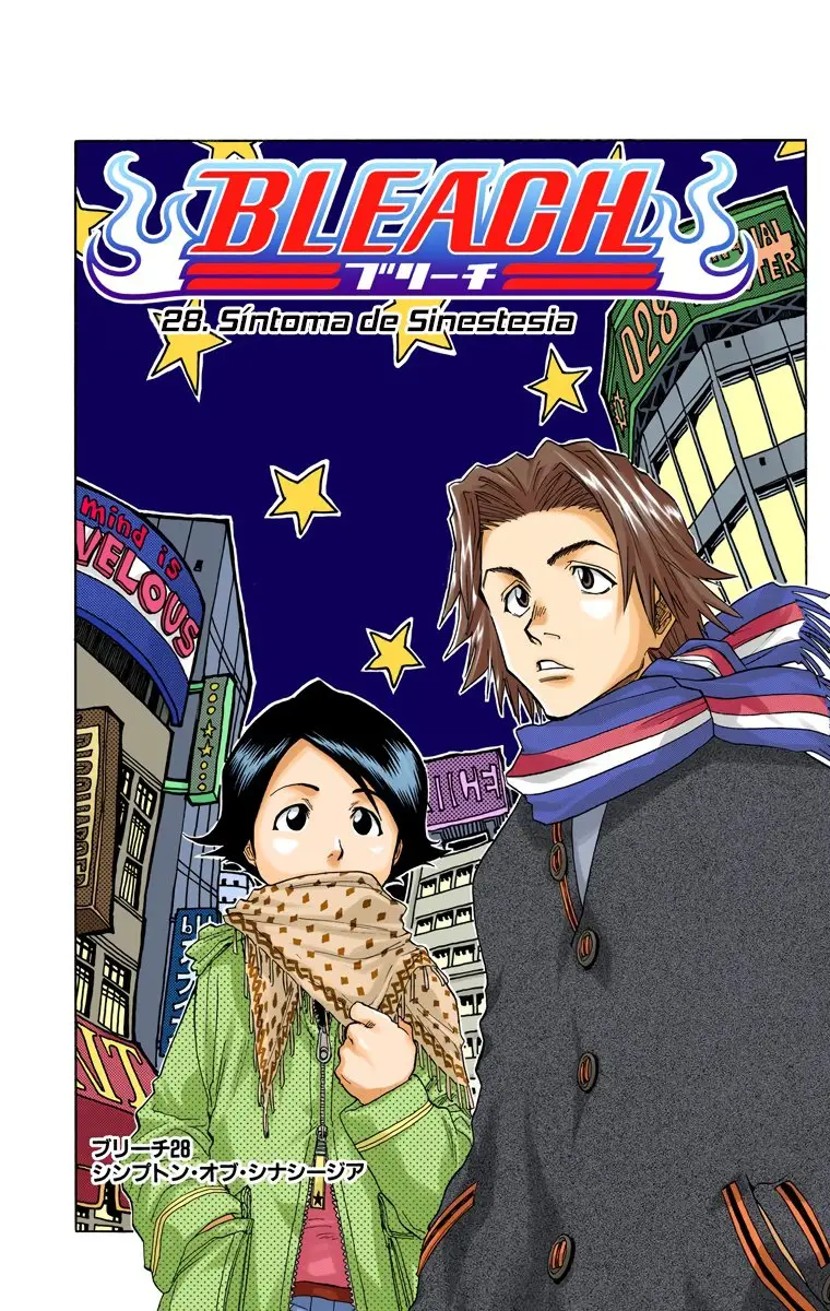 Bleach (Color) capítulo 28, página 5