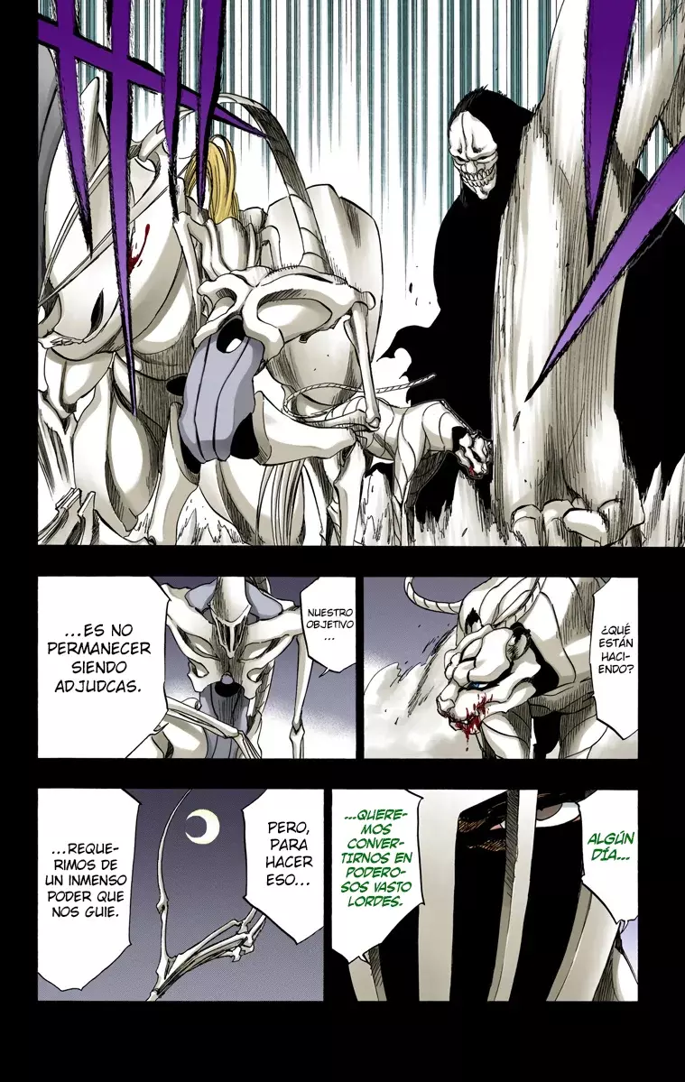 Bleach (Color) capítulo 284, página 11