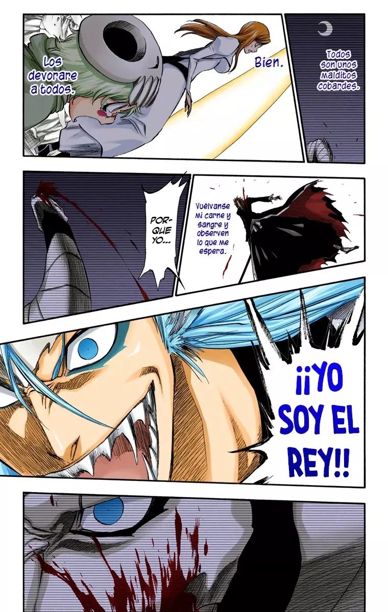 Bleach (Color) capítulo 285, página 11