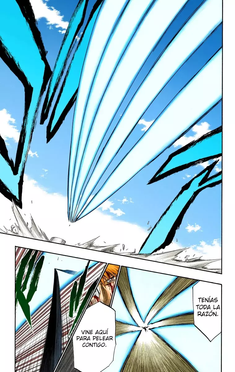 Bleach (Color) capítulo 285, página 15