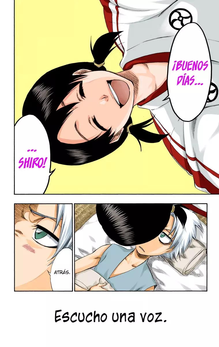 Bleach (Color) capítulo 286.5, página 5