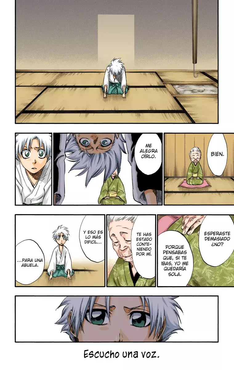 Bleach (Color) capítulo 286.5, página 22
