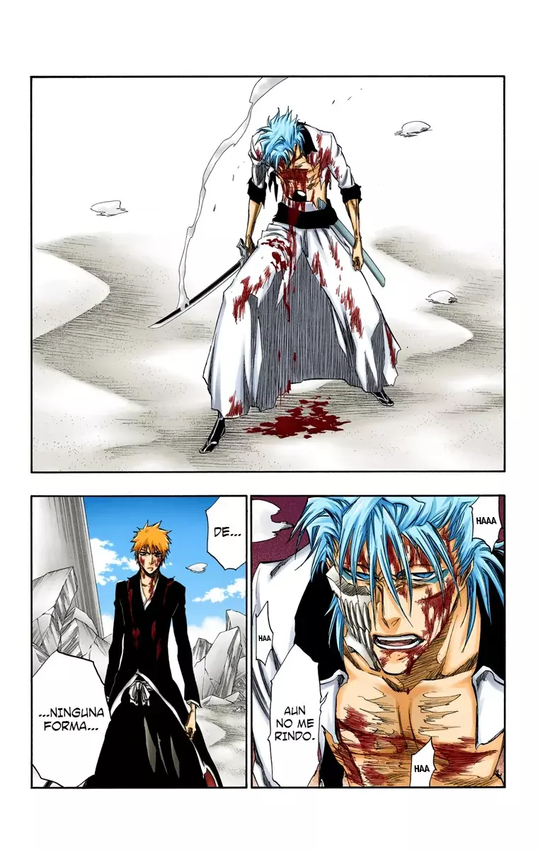 Bleach (Color) capítulo 286, página 14