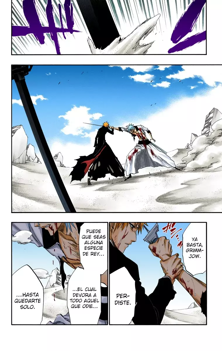 Bleach (Color) capítulo 286, página 16