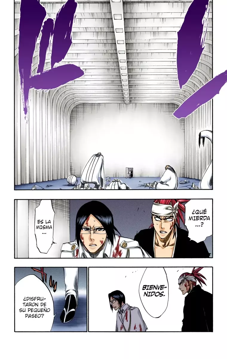 Bleach (Color) capítulo 287, página 21