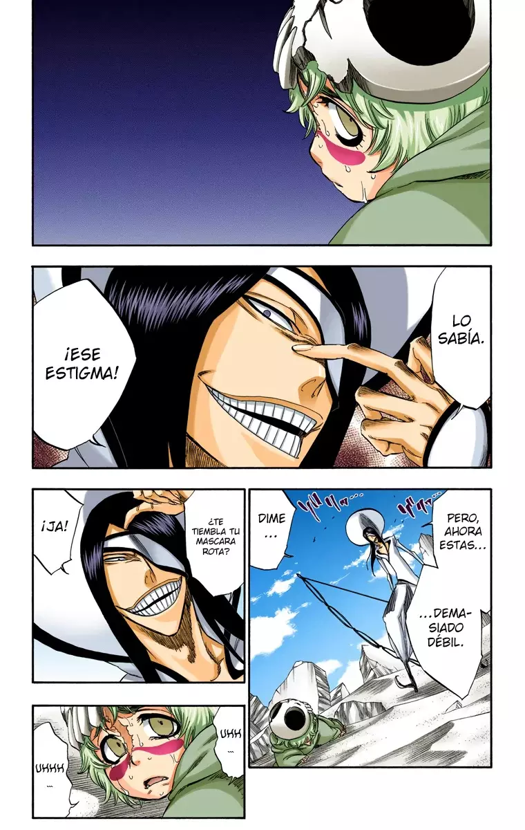 Bleach (Color) capítulo 289, página 15