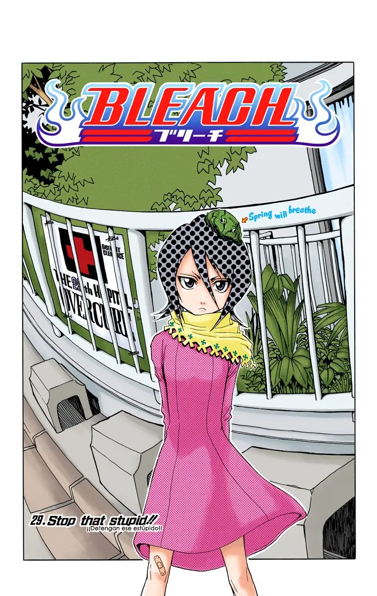 Bleach (Color) capítulo 29, página 3