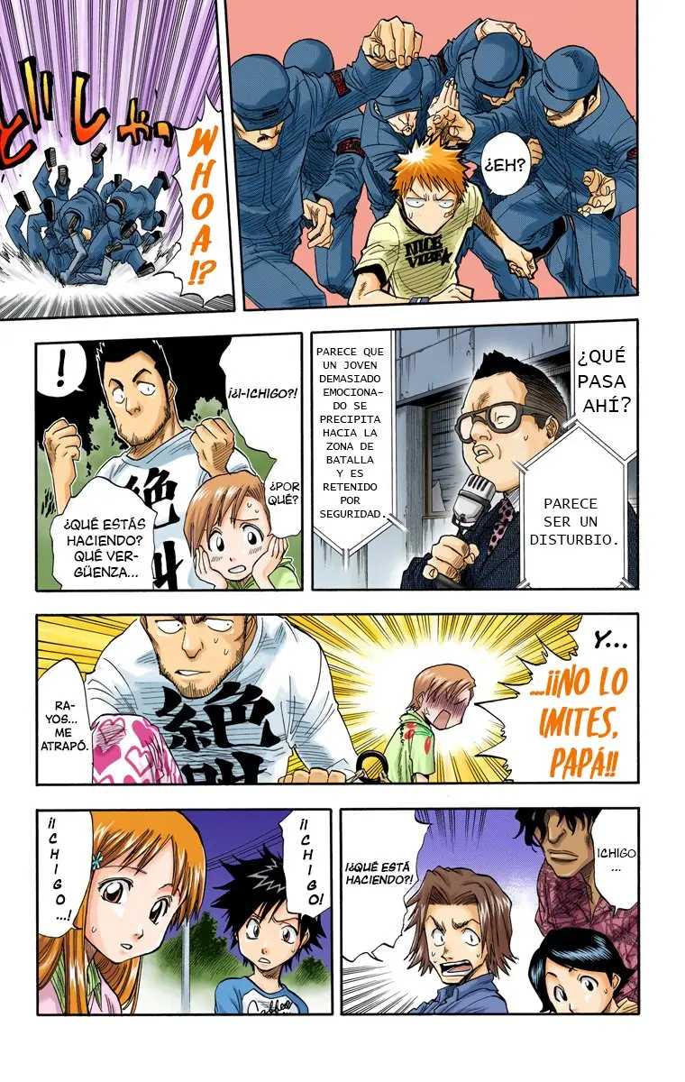 Bleach (Color) capítulo 29, página 8