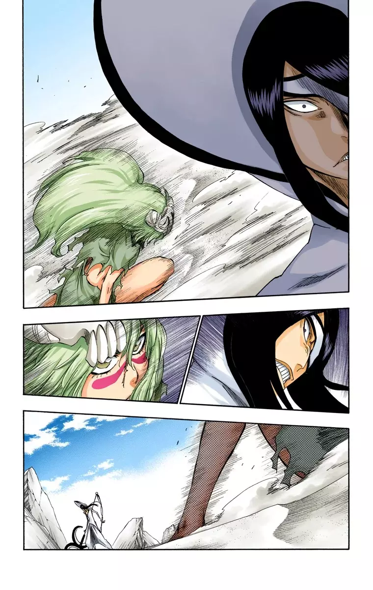 Bleach (Color) capítulo 291, página 8