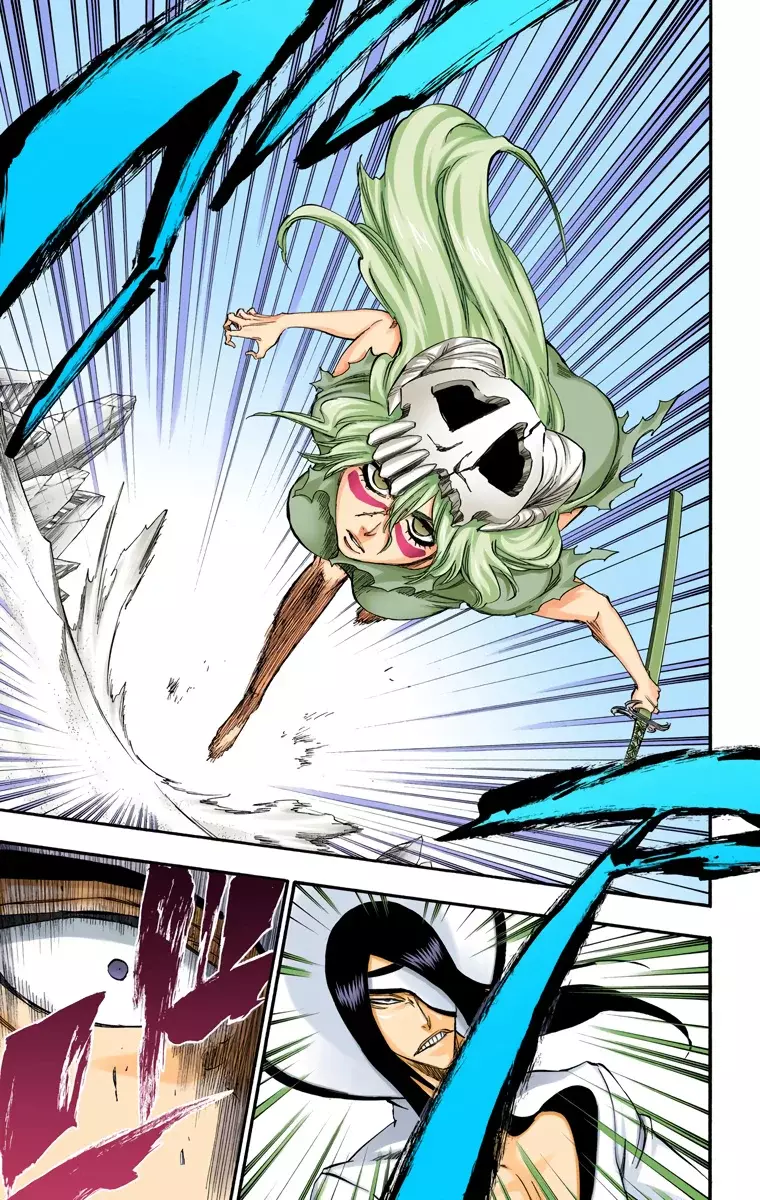 Bleach (Color) capítulo 291, página 13