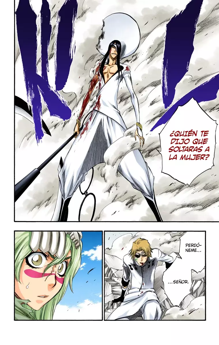 Bleach (Color) capítulo 292, página 7