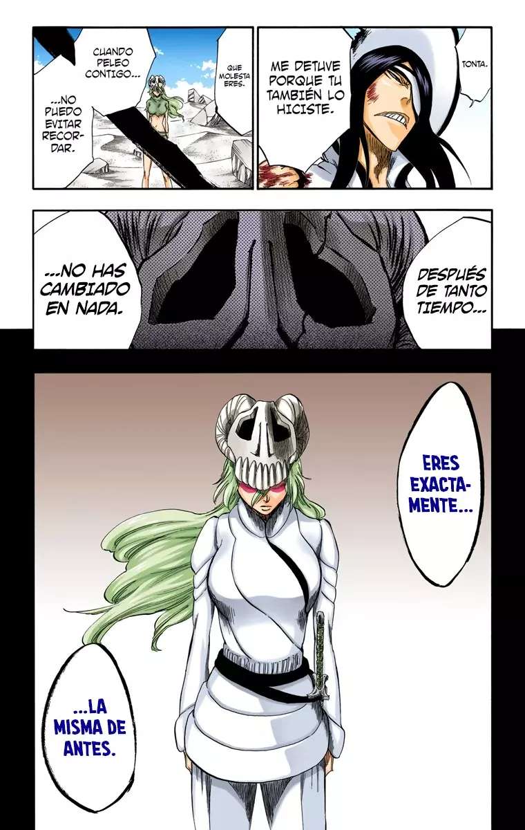 Bleach (Color) capítulo 293, página 22